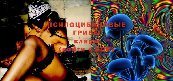шишки Лагань