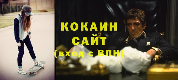 шишки Лагань