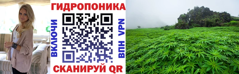 Купить где  Гай  МАРИХУАНА тримм 